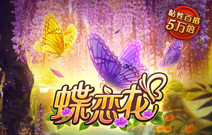 千赢体育app网页版入口